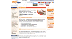 Desktop Screenshot of nowa-firma.alfabetfirm.pl